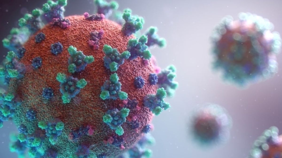 Active COVID cases reach 6,491 in India