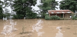 Continuous rainfall affects normal life in Dhangadhi, several areas flooded