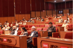 NA meeting: Lawmakers draw government’s attention on various issues