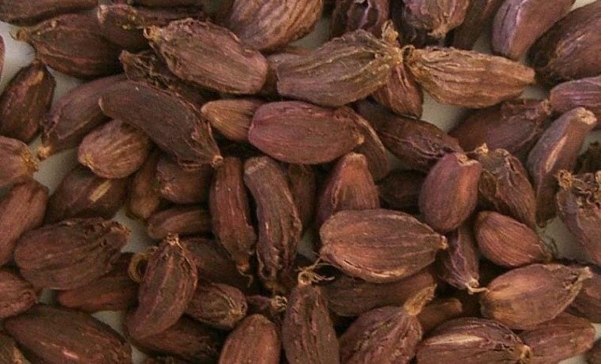 Cardamom worth Rs 7.67 billion exported from Kakadbhitta customs point