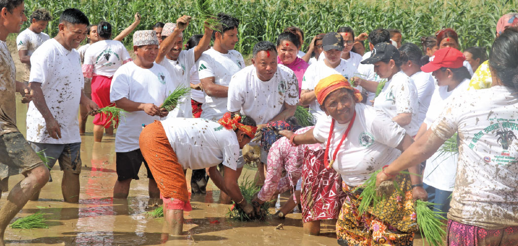 Asare tradition dwindling