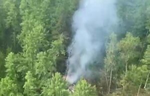 No survivors found after search of An-24 crash site in Russia’s Far East