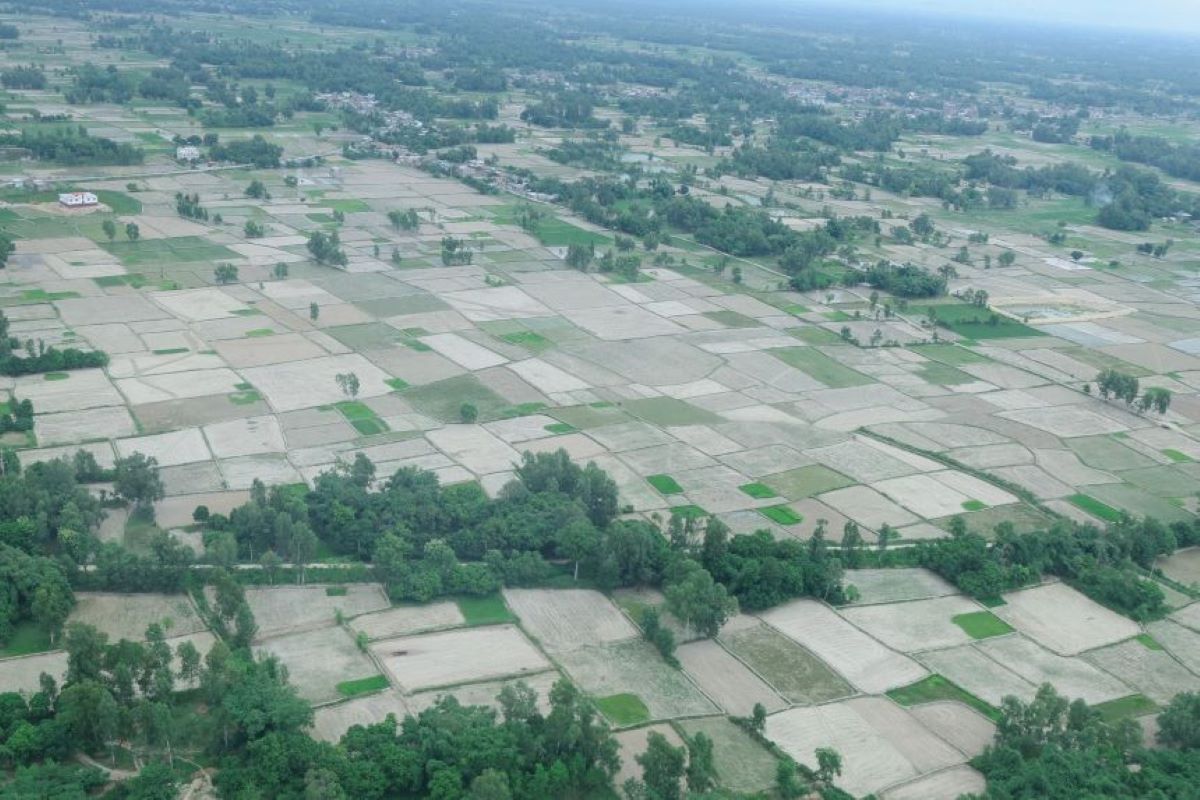 PM Oli inspects drought-hit areas in Madhes