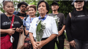 Thai woman jailed for 43 years for lese-majeste freed