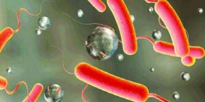 Cholera spread to community-level in Birgunj, 79 infected as of now