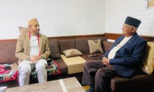 Oli and communications minister Kharel meet in Gundu