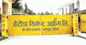 Chairman Bhandari resigns from Hetauda cement board