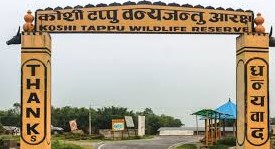 Koshi Tappu Wildlife Reserve attracts 11,603 visitors so far in current fiscal year