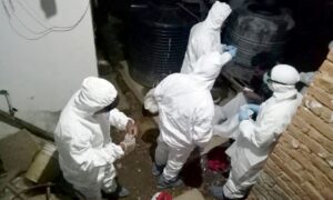 About 700,000 birds culled after bird flu confirmed; farmers to receive compensation
