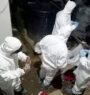About 700,000 birds culled after bird flu confirmed; farmers to receive compensation