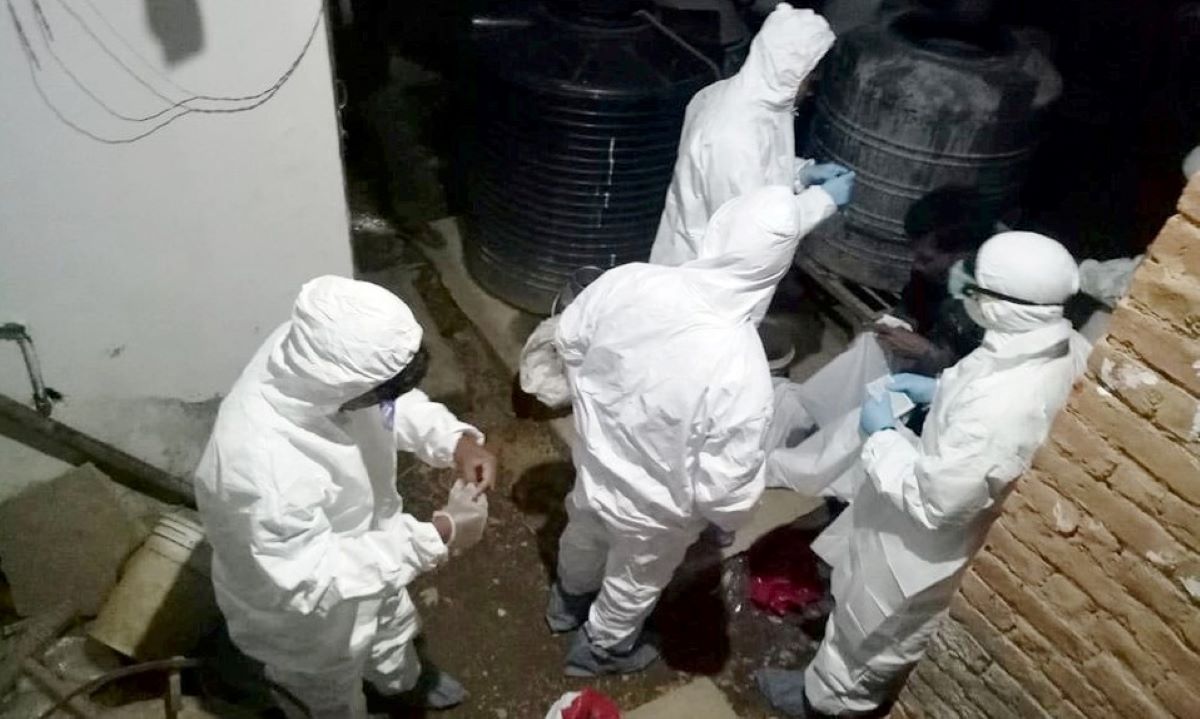 About 700,000 birds culled after bird flu confirmed; farmers to receive compensation