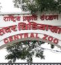 Investigation launched against ‘Jawalakhel Zoo Chief’ for allegedly concealing bird flu outbreak