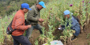 Int’l Day against Drug Abuse and Illicit Trafficking being marked