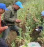 Int’l Day against Drug Abuse and Illicit Trafficking being marked