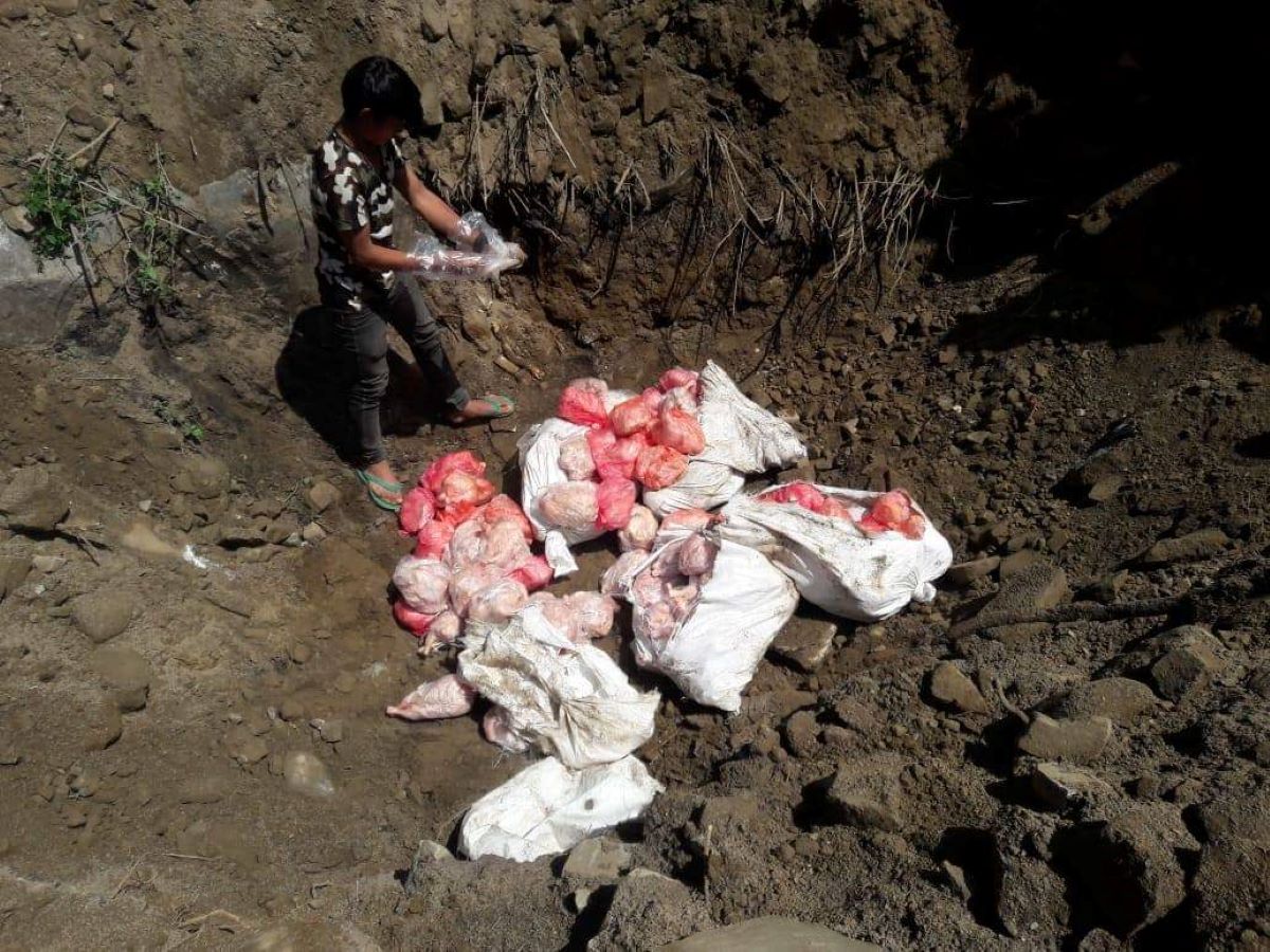 500 million released for compensation to poultry farmers affected by bird flu
